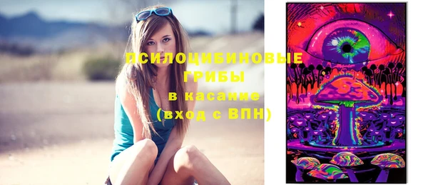 прущая мука Гусиноозёрск