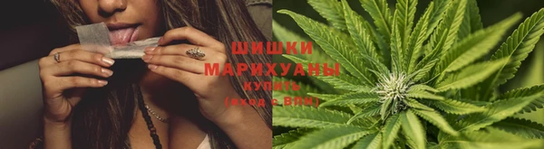прущая мука Гусиноозёрск