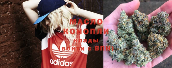 мяу мяу мука Гусь-Хрустальный