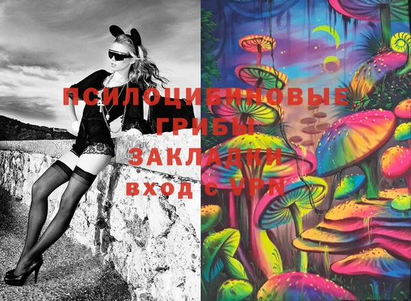 мяу мяу мука Гусь-Хрустальный