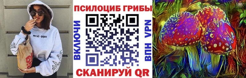 цена   Отрадный  Псилоцибиновые грибы Psilocybine cubensis 