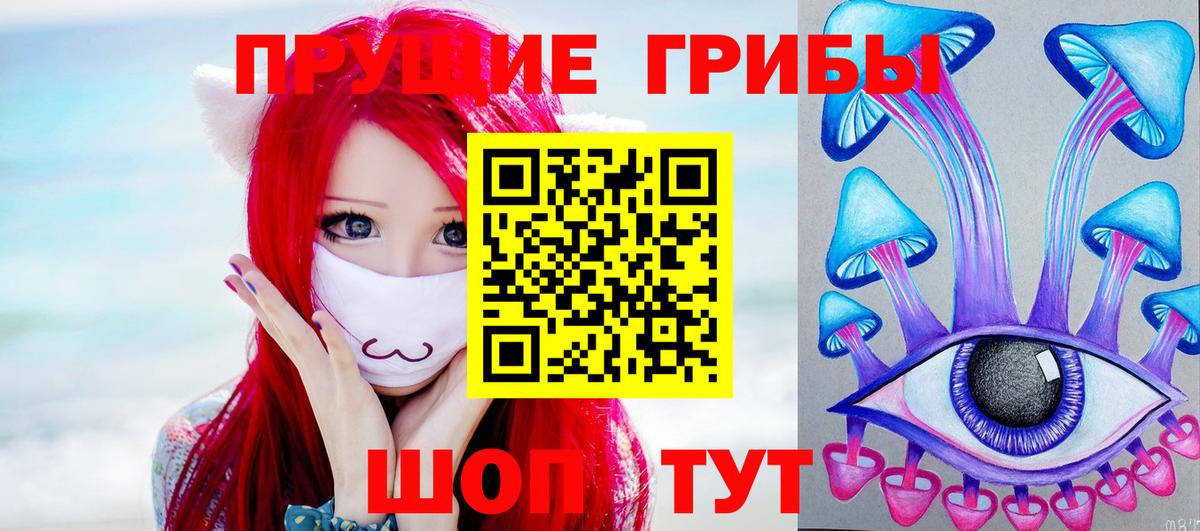 купить   Вход с VPN  Отрадный  Псилоцибиновые грибы Psilocybine cubensis 